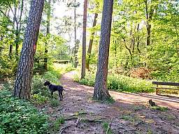 0639 romantik waldhotel mangold milchborntal bergisch gladbach bensberg v2