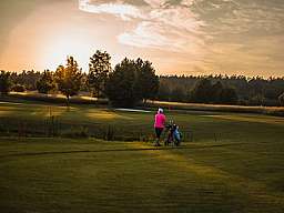 1932654d 70c2 49fd a647 da2d812675e9 500x334 v2