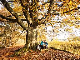 20170817 niemeyers posthotel n50 lueneburger heide gmbh web