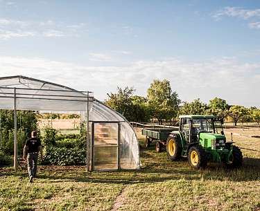 Schwane Gewächshaus