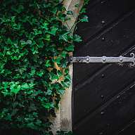 Romantik history &amp; philosophy