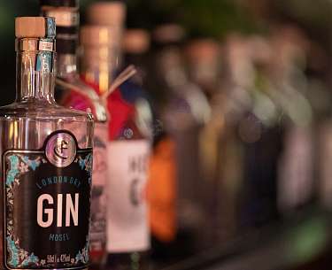 Gin Gin