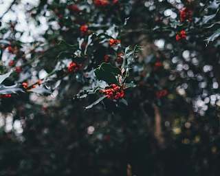 annie spratt Av90kkK6mp0 unsplash