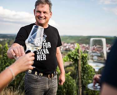 Weinberg Wanderungen Blick auf die Weinberge