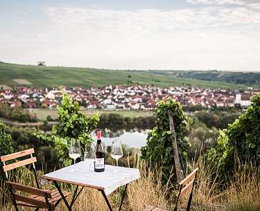 Wandern an der Mainschleife Blick