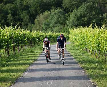 Zwei Hotelgäste fahren auf ihren Rennrädern durch die Weinberge 