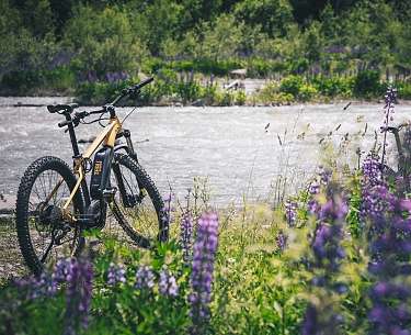 Fahrrad Fahrrad