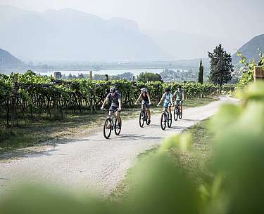 Zwei Radfahrer fahren durch die blühende Natur nahe des Radhotels 