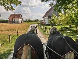 Gästekreistreffen in Romantik Landhotel Knippschild
