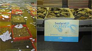 Gästekreis-Treffen vom 20. – 23. Juni 2023 im Romantik Hotel Mondragon in Zierikzee