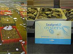 Gästekreis-Treffen vom 20. – 23. Juni 2023 im Romantik Hotel Mondragon in Zierikzee