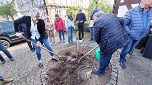 Erinnerungsbaum - 48. Mitgliederversammlung  im Romantik Hotel Schubert  vom 11. - 14. April 2024 in Lauterbach