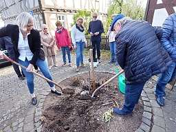 Erinnerungsbaum - 48. Mitgliederversammlung  im Romantik Hotel Schubert  vom 11. - 14. April 2024 in Lauterbach
