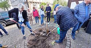 Erinnerungsbaum - 48. Mitgliederversammlung  im Romantik Hotel Schubert  vom 11. - 14. April 2024 in Lauterbach
