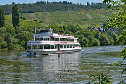 Mosel
