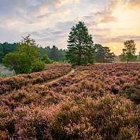 Nature of Lake Constance from Meersburg, a town in Baden-Württemberg in Germany on Lake Constance.