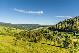 Schwarzwald Schwarzwald