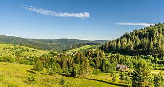 Schwarzwald