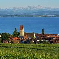 Natur des Bodensees von Meersburg, einer Stadt in Baden-Württemberg in Deutschland am Bodensee.