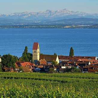 Natur des Bodensees von Meersburg, einer Stadt in Baden-Württemberg in Deutschland am Bodensee.