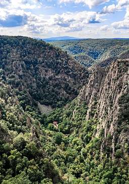 Felswände mit grünen Bäumen bewachsen im  Harz