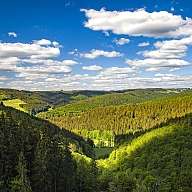 sauerland 