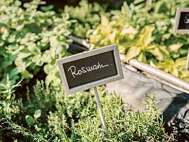 Das Mühlbach Das Mühlbach