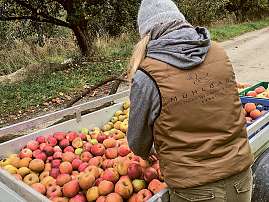 Das Mühlbach Das Mühlbach