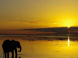 2023 02 41 1136x1136px