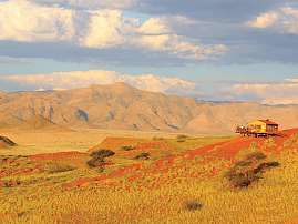 2023 02 46 1136x1136px 2023 02 46 1136x1136px