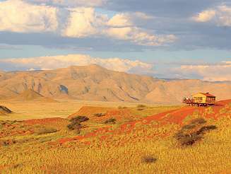 2023 02 46 1136x1136px