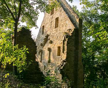 Kloster Disibodenberg Eine Ruine ragt zwischen den Bäumen im Wald hervor