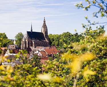 Schlosskirche Meisenheim Blick auf eine Kirche in der Natur