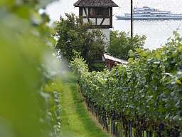 Bodensee Bodensee