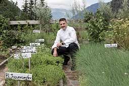 In-house herb garden In-house herb garden
