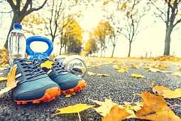 Fitness Fitness