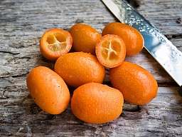 Cumquats Cumquats