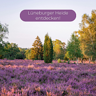 Lüneburger Heide