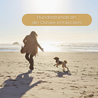 Ostseeurlaub mit Hund