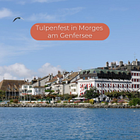 Tulpenfest in Morges