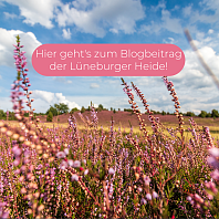 Blogbeitrag Lüneburger Heide