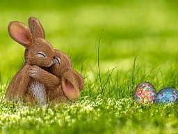 Osterhase auf der Wiese Osterhase auf der Wiese