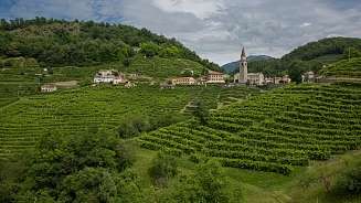 Prosecco vineyards Prosecco vineyards