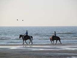Reiten an der Nordsee Blick auf Pferde am Strand der Nordsee