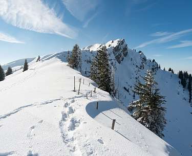 Snowshoe hiking Allgäu Snowshoe hiking Allgäu