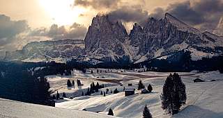 Alpe di Siusi
