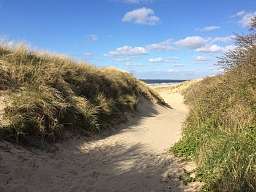Strand Niederlande Blick auf Sanddünen in den Niederlanden