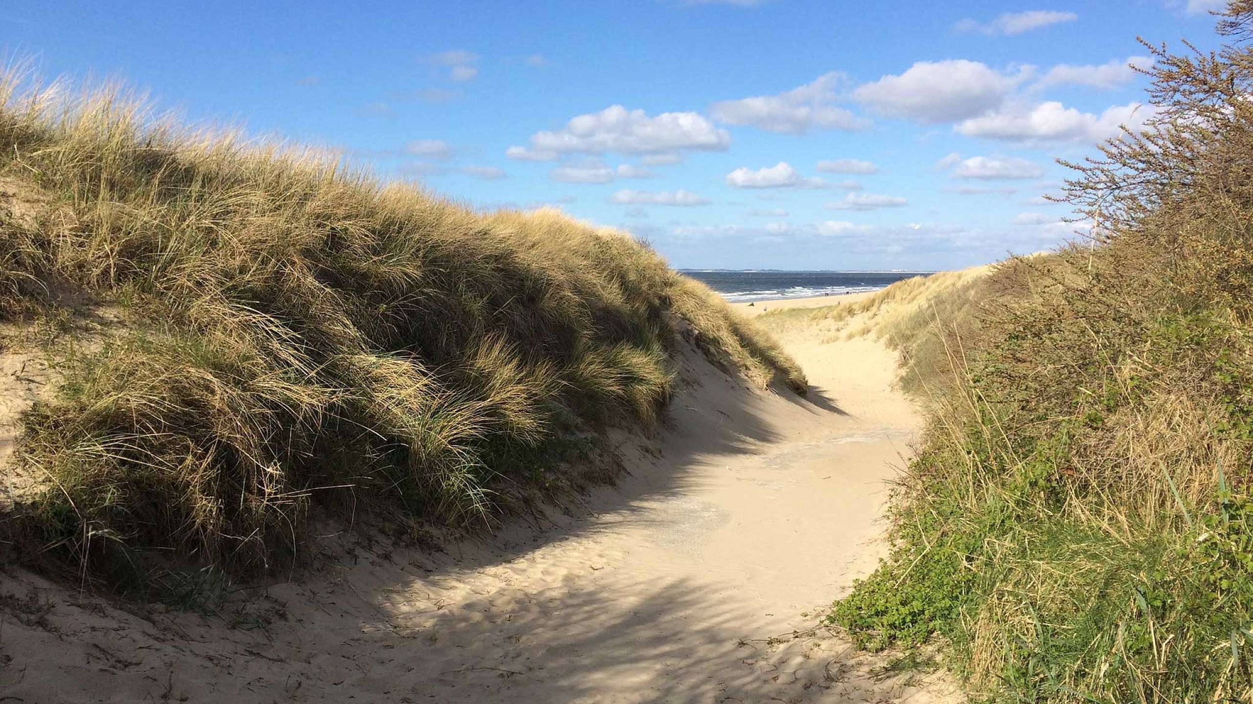 Die schönsten Strände in den Niederlanden