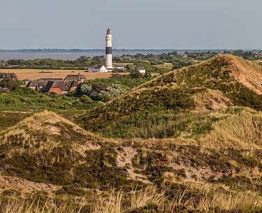 Sylt Sylt