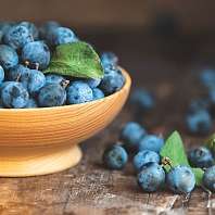Wacholderbeeren Wacholderbeeren